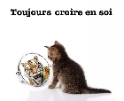 Clique pour agrandir ...